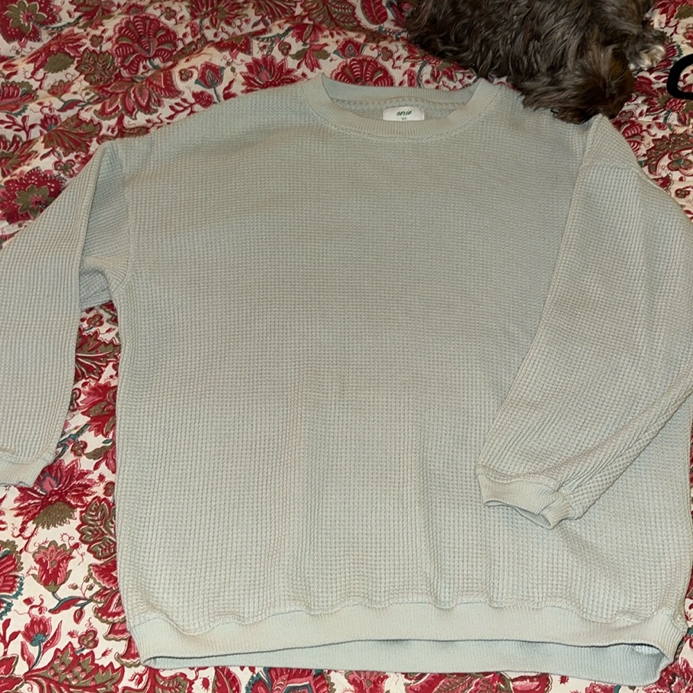 Aerie sage green long sleeve top